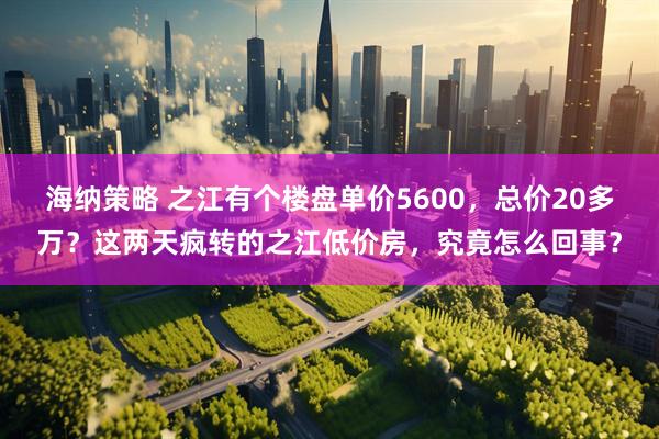 海纳策略 之江有个楼盘单价5600，总价20多万？这两天疯转的之江低价房，究竟怎么回事？