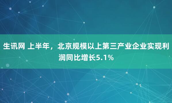生讯网 上半年，北京规模以上第三产业企业实现利润同比增长5.1%