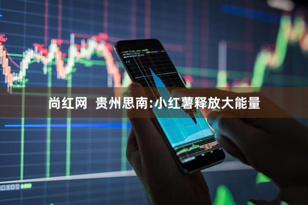 尚红网  贵州思南:小红薯释放大能量