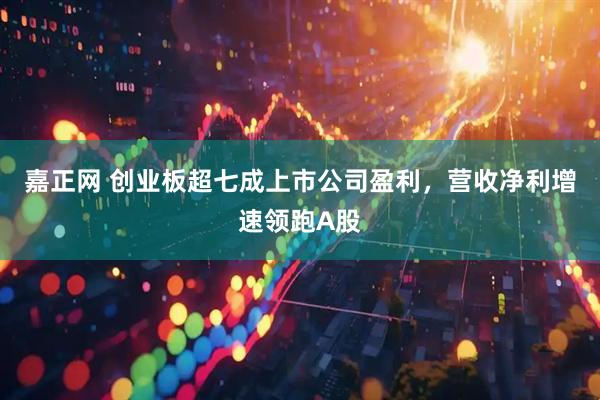 嘉正网 创业板超七成上市公司盈利，营收净利增速领跑A股