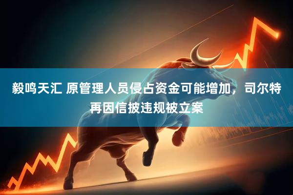 毅鸣天汇 原管理人员侵占资金可能增加，司尔特再因信披违规被立案