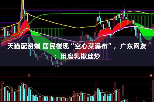 天猫配资端 居民楼现“空心菜瀑布”，广东网友：用腐乳椒丝炒
