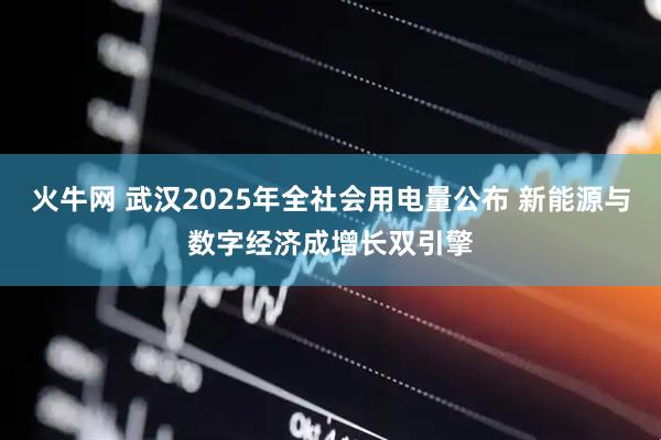 火牛网 武汉2025年全社会用电量公布 新能源与数字经济成增长双引擎