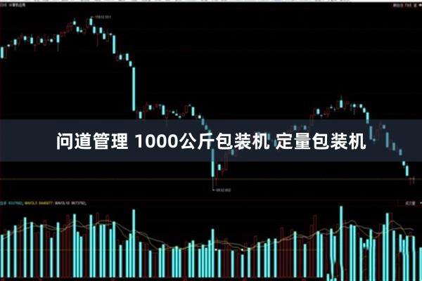 问道管理 1000公斤包装机 定量包装机